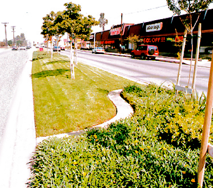 Azusa Avenue Landscape Improvements Covina, CA